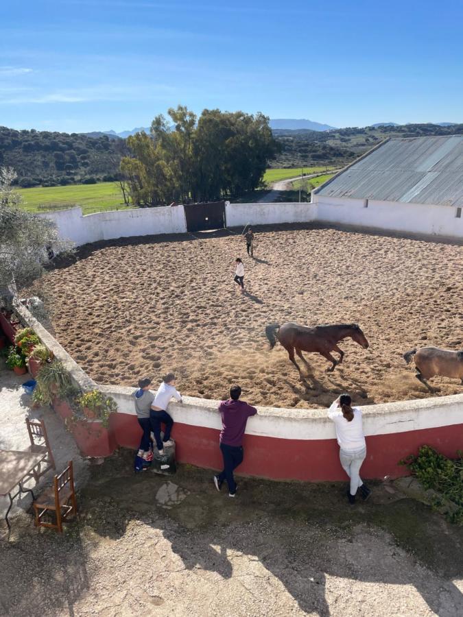 Casa Rural Finca De Las Encarnaciones Bajas Villanueva de San Juan 外观 照片