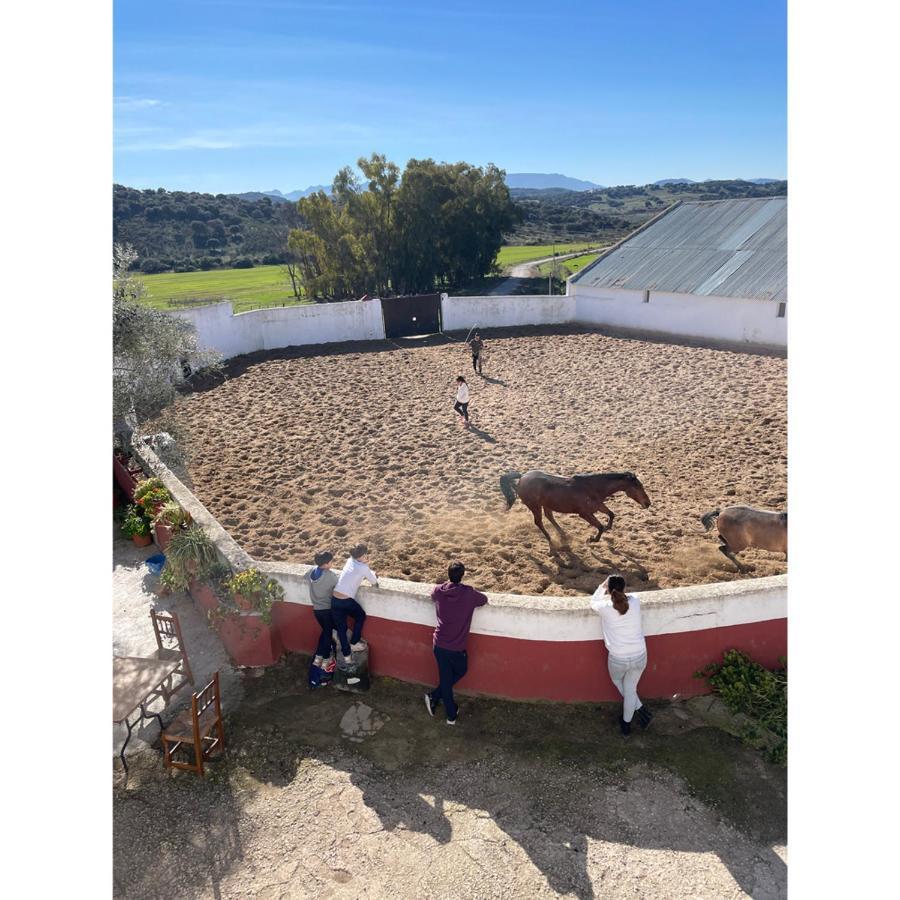 Casa Rural Finca De Las Encarnaciones Bajas Villanueva de San Juan 外观 照片