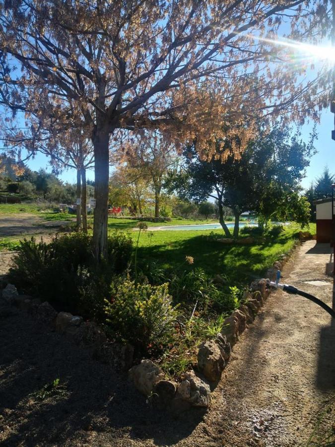Casa Rural Finca De Las Encarnaciones Bajas Villanueva de San Juan 外观 照片