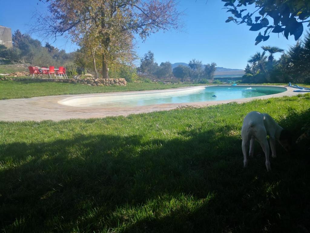 Casa Rural Finca De Las Encarnaciones Bajas Villanueva de San Juan 外观 照片