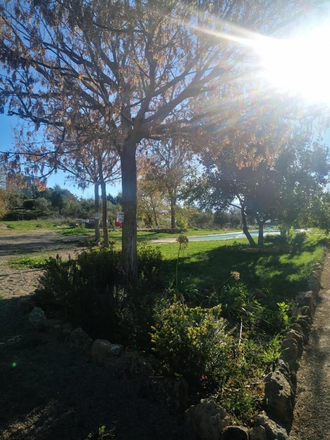 Casa Rural Finca De Las Encarnaciones Bajas Villanueva de San Juan 外观 照片
